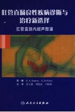 肛管直肠良性疾病诊断与治疗新选择 肛管直肠内超声图谱