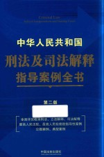 中华人民共和国刑法及司法解释指导案例全书 司法案例与司法解释 第2版