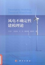 风电不确定性建模理论