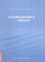 废水的催化还原处理技术 原理及应用