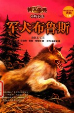 传世今典 军犬布鲁斯