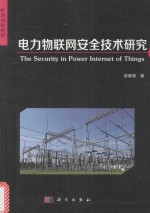 信息安全丛书 电力物联网安全技术研究