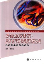 康复治疗技术 言语治疗与假肢矫形器分册