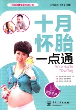 十月怀胎一点通 双色