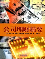 公司理财精要 第2版