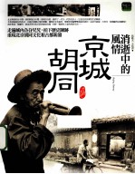 消逝中的风情 京城胡同