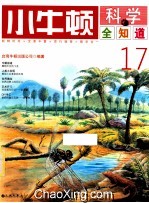 小牛顿科学全知道 17
