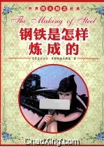 钢铁是怎样炼成的
