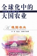 德国农业 全球化中的大国农业