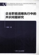 企业职能战略执行中的共识问题研究
