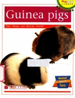 Guinea Pings
