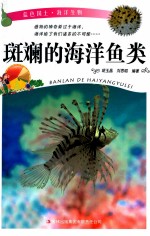 蓝色国土 60 斑斓的海洋鱼类