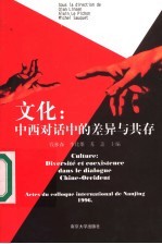文化：中西对话中的差异与共存