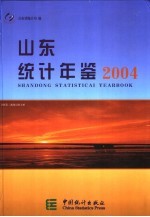 山东统计年鉴 2004 总第16期