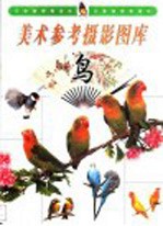 美术参考摄影图库 鸟
