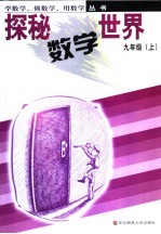 探密数学世界 九年级 上