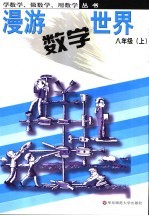 漫游数学世界 华东师大版 八年级 上