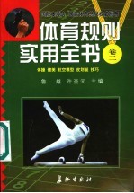 体育规则实用全书 卷2