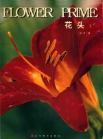 花头 1