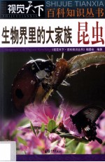 生物界里的大家族 昆虫