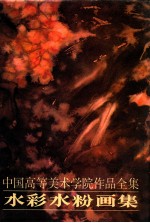 中国高等美术学院作品全集 水彩、水粉画集