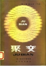 聚变 第1卷 磁约束 下