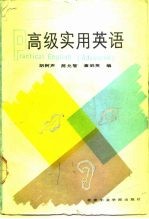高级实用英语 practical English:advanced