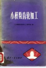 小模数齿轮加工