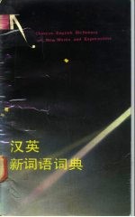 汉英新词语词典
