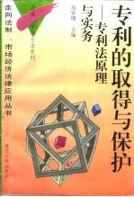 专利的取得与保护 专利法原理与实务