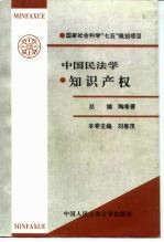 中国民法学 知识产权