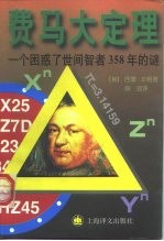 费马大定理 一个困惑了世间智者358年的谜