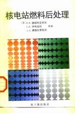 核电站燃料后处理