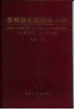 多相催化微观动力学