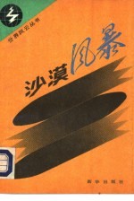 沙漠风暴