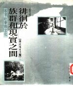 徘徊于族群和现实之间：客家社会与文化