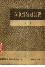 苏联经济新剖视 上