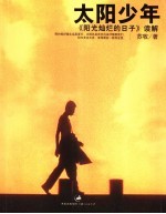 太阳少年 《阳光灿烂的日子》读解
