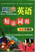 短语、词组 高考突破版