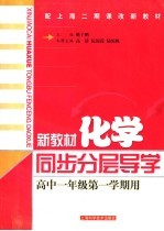 配上海二期课改新教材 新教材化学同步分层导学 高中一年级第一学期用 第2版