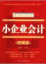 图解小企业会计