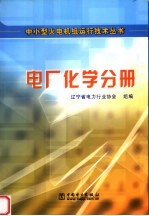 中小型火电机组运行技术丛书 电厂化学分册