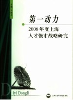 第一动力 2006年度上海人才强市战略研究