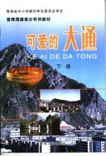可爱的大通 下