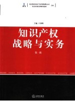 知识产权战略与实务 第1辑