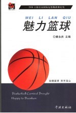 魅力篮球 2006上海宝山国际女篮挑战赛纪实