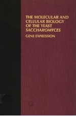 THE MOLECULAR AND CELLULAR BIOLOGY OF THE YEAST SACCHAROMYCES GENE EXPRESSION