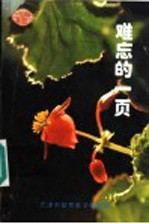 难忘的一页