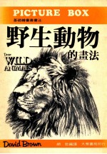 野生动物的画法