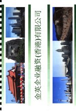 金英企业融资 香港 有限公司